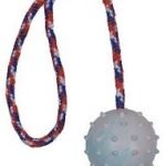 TRIXIE Kamuolys guminis ant virvės