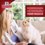 HILL'S Science Plan Feline Adult Lamb & Rice