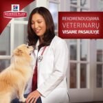 HILL'S Science Plan Canine Mature Small & Miniature Chicken & Turkey