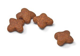 ROYAL CANIN Mini Mature +8