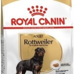 ROYAL CANIN Rottweiler