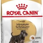 ROYAL CANIN Miniature Schnauzer