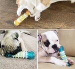 Pop Pets Žaislas šuniui kietos gumos pailgas žaislas kramtukas, 4x15cm