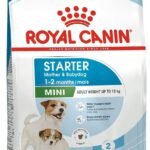 ROYAL CANIN Mini Starter sausas pašaras jauniems šuniukams