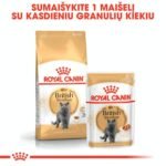 ROYAL CANIN British Shorthair sausas pašaras katėms
