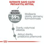 ROYAL CANIN Dental Care sausas pašaras katėms