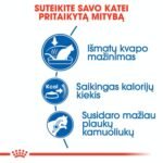 ROYAL CANIN Indoor sausas pašaras katėms