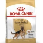 ROYAL CANIN German Shepherd Adult sausas pašaras šunims 11 kg