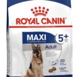 ROYAL CANIN Maxi Adult 5+ sausas pašaras šunims 15 kg