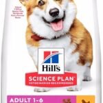 Hill's Science Plan Small & Mini Adult Chicken sausas pašaras mažų veislių šunims