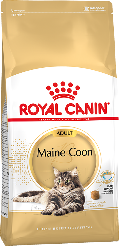 ROYAL CANIN Maine Coon 31 sausas pašaras katėms