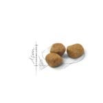 ROYAL CANIN Indoor +7 sausas pašaras katėms