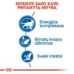 ROYAL CANIN Indoor +7 sausas pašaras katėms