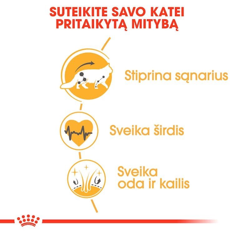 ROYAL CANIN Maine Coon 31 sausas pašaras katėms