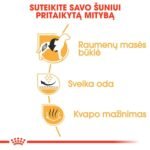 ROYAL CANIN French Bulldog Adult sausas pašaras šunims