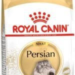 ROYAL CANIN Persian sausas pašaras katėms
