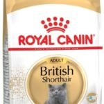 ROYAL CANIN British Shorthair sausas pašaras katėms