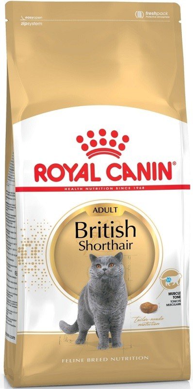 ROYAL CANIN British Shorthair sausas pašaras katėms