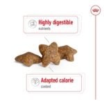 ROYAL CANIN Mini Adult sausas pašaras šunims 8kg