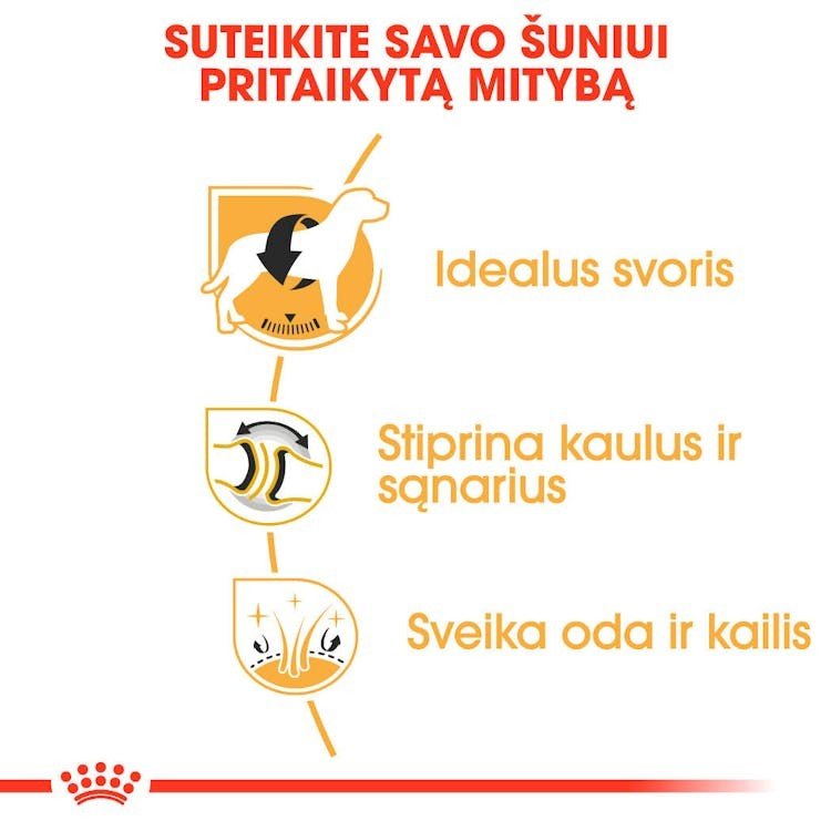 ROYAL CANIN Labrador Retriever Adult sausas pašaras šunims 12 kg