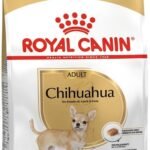 ROYAL CANIN Chihuahua Adult sausas pašaras šunims