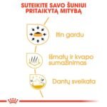 ROYAL CANIN Chihuahua Adult sausas pašaras šunims