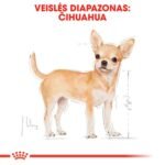 ROYAL CANIN Chihuahua Adult sausas pašaras šunims