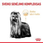 Royal Canin Yorkshire Terrier 8+ sausas pašaras šunims