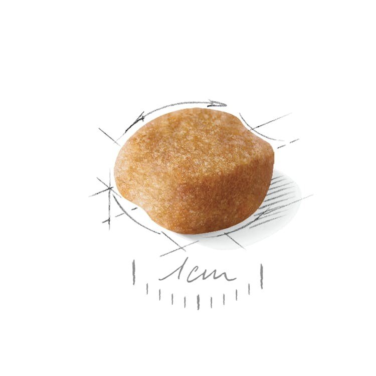 ROYAL CANIN Yorkshire Terrier Adult sausas pašaras šunims