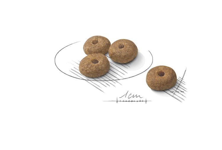 ROYAL CANIN Mini Sterilised sausas pašaras šunims