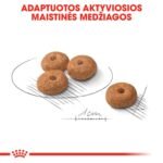 ROYAL CANIN Mini Sterilised sausas pašaras šunims