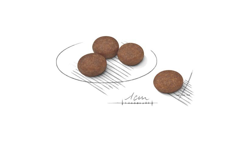 ROYAL CANIN Mini Digestive Care sausas pašaras šunims