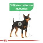 ROYAL CANIN Mini Digestive Care sausas pašaras šunims