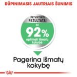 ROYAL CANIN Mini Digestive Care sausas pašaras šunims