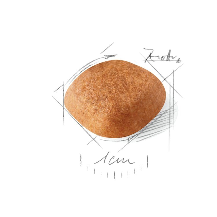 ROYAL CANIN West Highland White Terrier sausas pašaras šunims