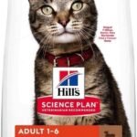 Hill's Science Plan Adult Lamb sausas maistas su ėriena katėms