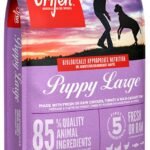 ORIJEN Puppy Large sausas pašaras šunims