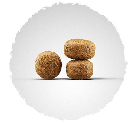 Josera Balance sausas pašaras šunims 12.5kg