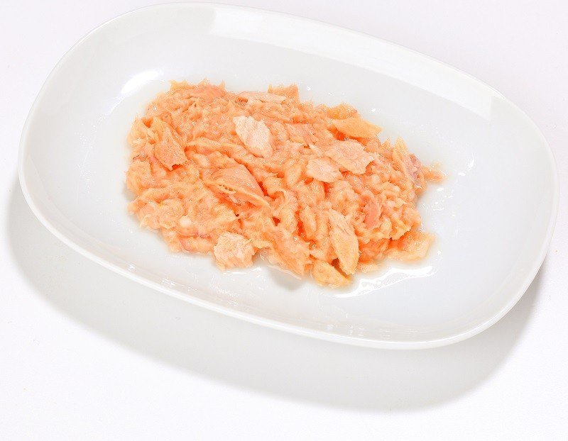 Almo Nature HFC Jelly Salmon šlapias maistas katėms