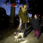 Flexi Vario šviečiantis dirželis