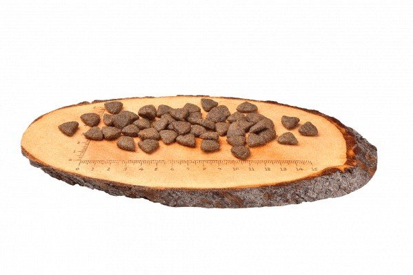 Carnilove Salmon for Adult sausas pašaras šunims su lašiša