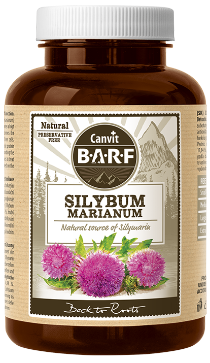 Canvit Silybum Marianum