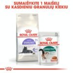 Royal Canin Sterilised 7+ sausas pašaras katėms