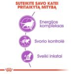 Royal Canin Sterilised 7+ sausas pašaras katėms