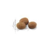 Royal Canin Sterilised 7+ sausas pašaras katėms