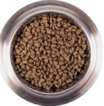 Monge Mini Adult Lamb (ėriena) sausas pašaras šunims 2,5kg