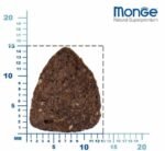 Monge adult Dog BWILD - All Breeds Adult Deer (elniena)