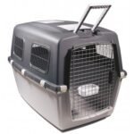 Record Gulliver narvas transportavimui