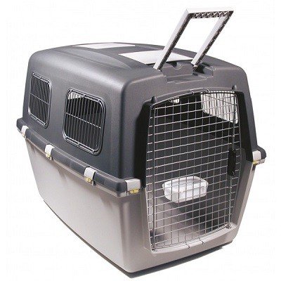 Record Gulliver narvas transportavimui