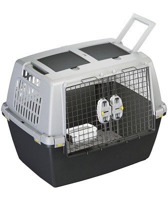 Record Gulliver narvas transportavimui